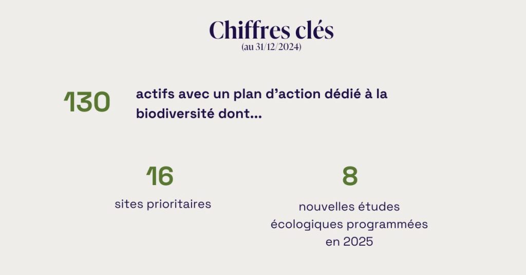biodiversité, scpi rapport extra financier epargne pierre europe
